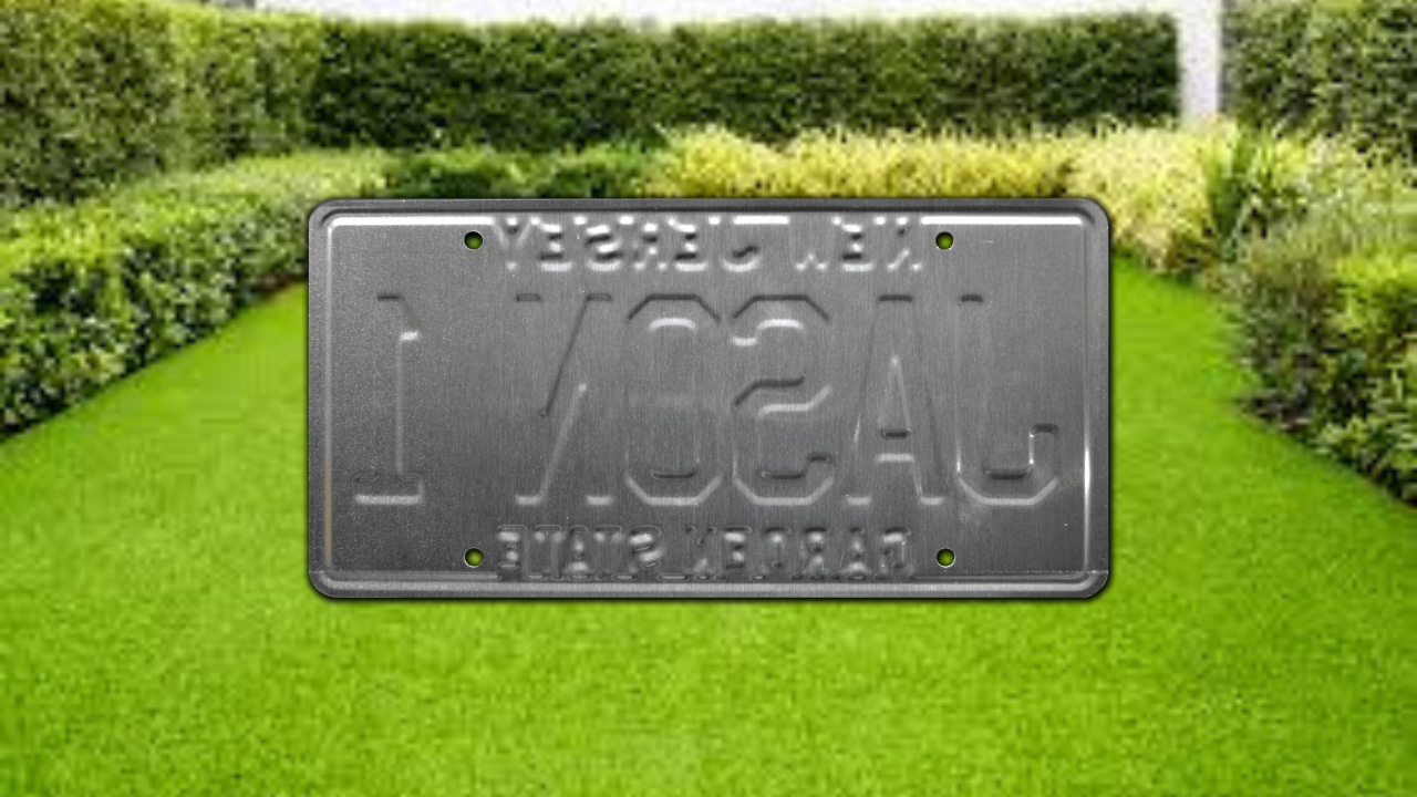 Don't Solicit Me, Bro